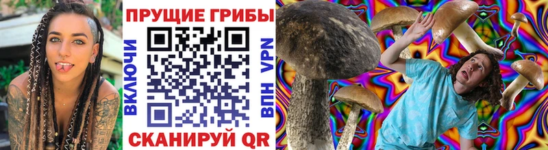 даркнет сайт  mega ТОР  Псилоцибиновые грибы Psilocybine cubensis  Новотитаровская 